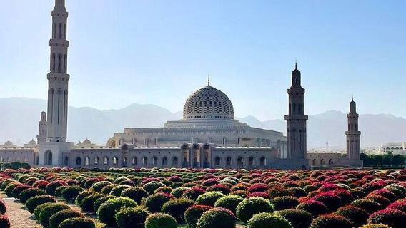 Muscat