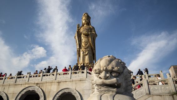 普陀山景區【單訂導遊】地陪導覽· 一單一團· 1天專業導遊服務