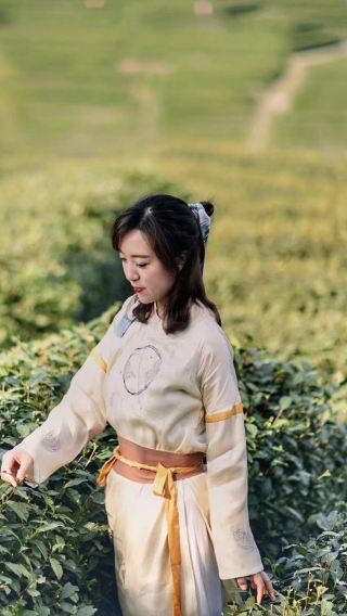항저우 서호 용정차 마을(룽징춘) 차 따기 체험 반나절 투어 [픽업 서비스 옵션+무형문화재 전통 차 우려내기+차 볶기 및 시음]