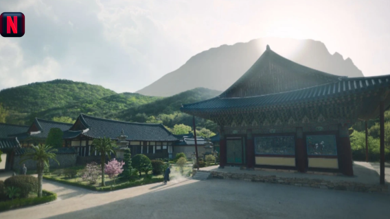 Daegu-Departing Cheongdo 1-Day Tour: Gyeongbuk Yongam Hot Springs + Cheongdo Bullfighting + Netflix Drama Filming Location Unmunsa Temple