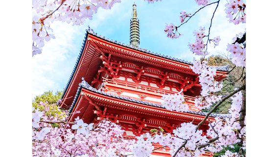KyotoTours