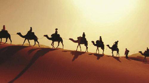 From Abu Dhabi Safari: Liwa Dunes Full Day 4x4 Safari Adventure Day Tours 6