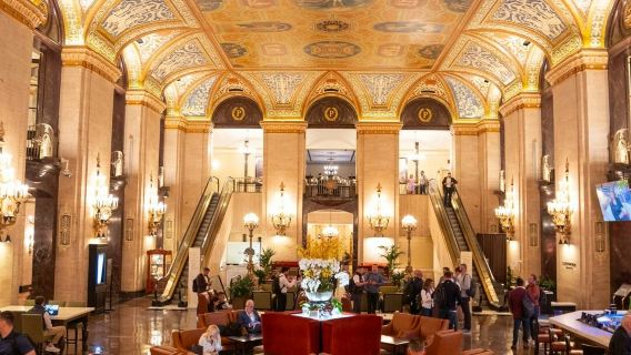 Chicago: Culture & Architecture Guided Tour