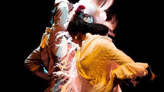 Flamenco Dance Museum: Entry Ticket + Puro Flamenco Show