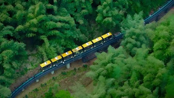 Depart from Chengdu: one-day tour of Sichuan Bamboo Sea + Pingle Ancient Town (Healing Bamboo Sea Train)