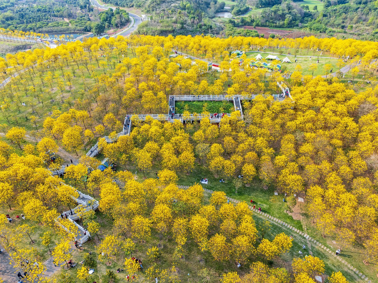 Nanning, Guangxi: Guide/Exhibition/Business Translation in Chinese, English, Russian, French, German, Spanish H