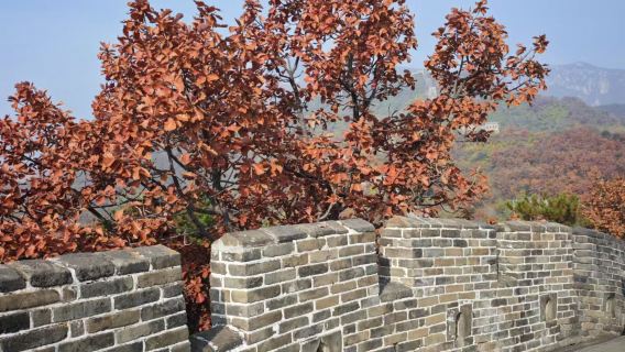 Chuyến đi riêng đến Vạn Lý Trường Thành Mộ Điền Cốc và Cung điện Mùa hè với tài xế nói tiếng Anh