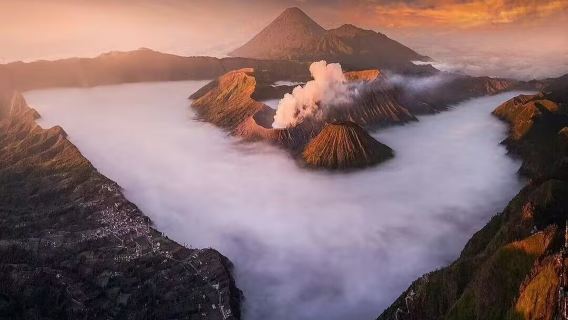 スラバヤ-プリゲン動物園+テンガーセメル公園 貸切チャーターワンデーツアー【行程可調】