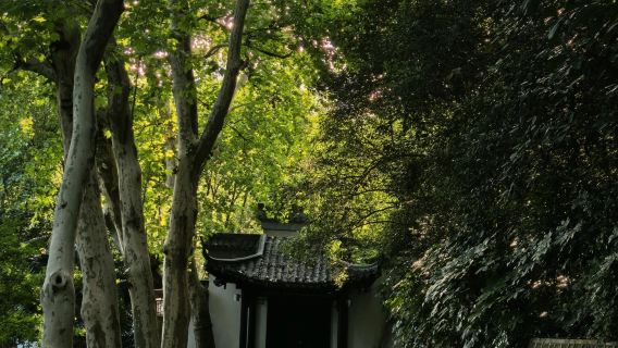 Lawatan sehari ke Taman Jinshan Hill Park + Jalan Purba Xijindu + Gunung Yuntai + Gunung Beigu di Zhenjiang - Perkhidmatan dalam Bahasa Inggeris tersedia