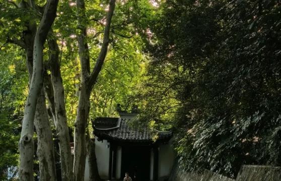 鎮江金山公園+西津渡歷史文化街區+雲台山+北固山一日遊中英文服務不含門票