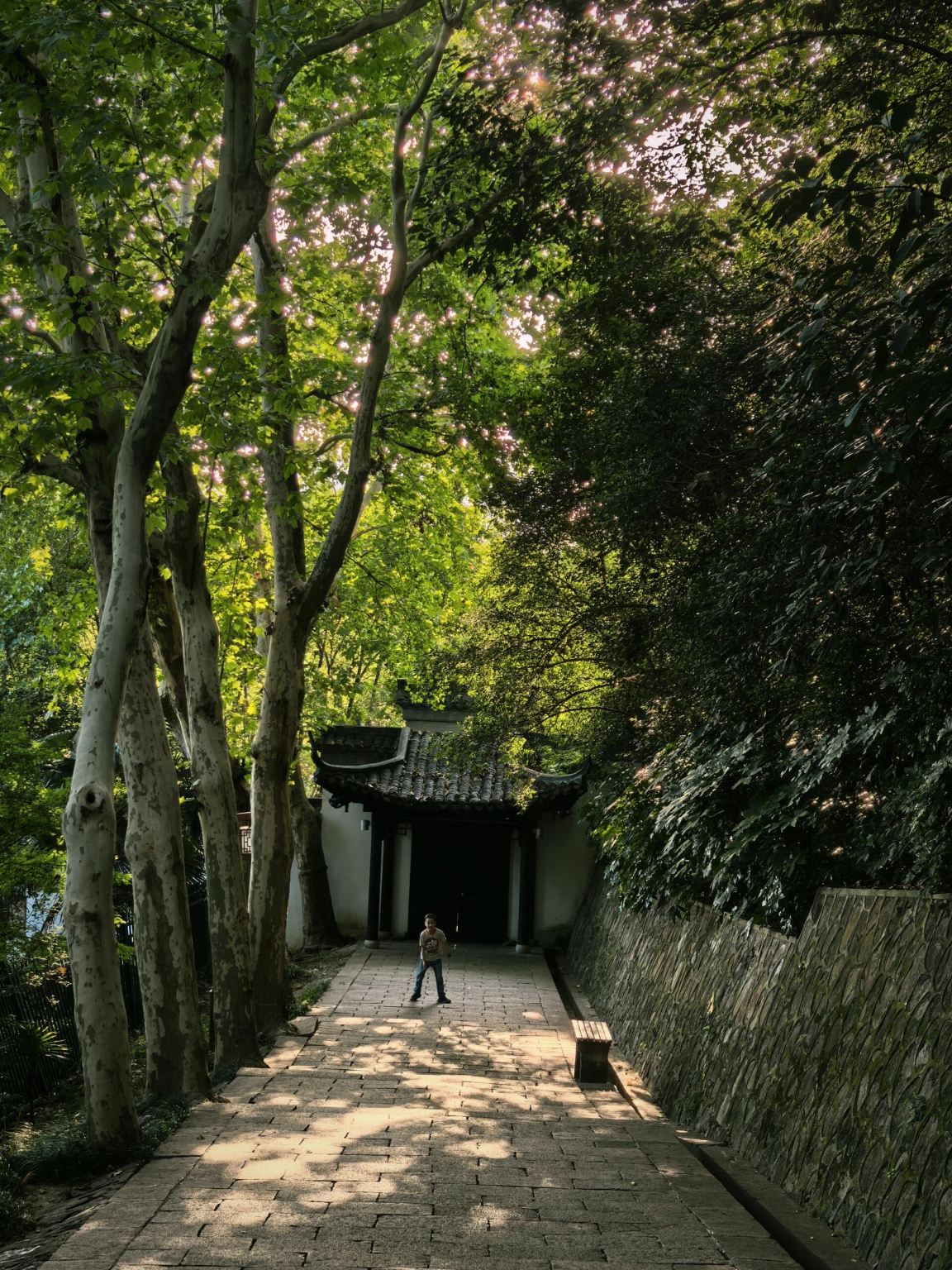 Tour di un giorno a Zhenjiang: Parco Jinshan + Antica Via Xijin + Montagna Yuntai + Beigu Mountain - Servizio disponibile in cinese e inglese