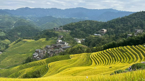 Guilin departure: Longji Rice Terraces, Jinkeng Dazhai, and Huangluo Yao Village one-day shared tour (optional Chinese/Mandarin or English shared tour)