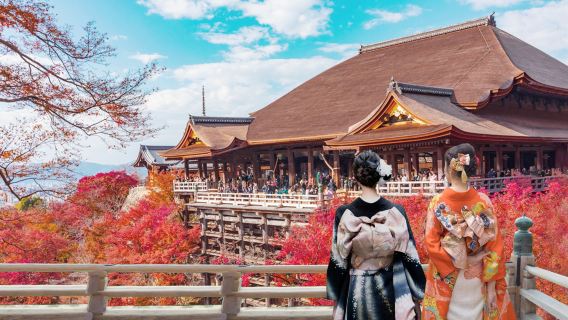 Kyoto & Uji World Heritage Sites day Tour | Kinkaku-ji & Kiyomizu-dera & Byodo-in