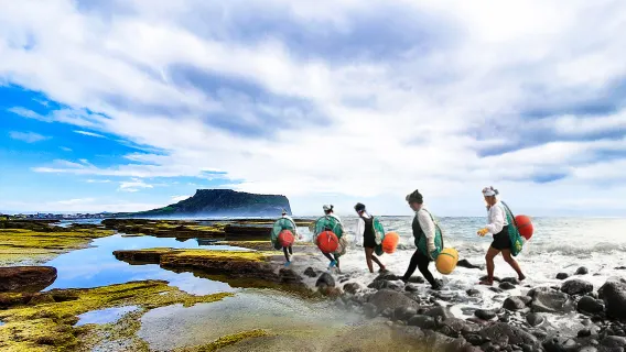 Tour Jeju UNESCO hành trình phía Đông - tour trong ngày
