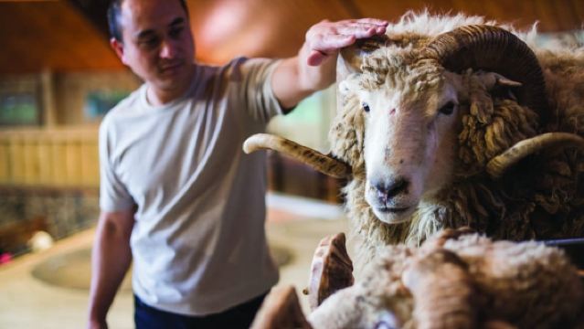 Rotorua: Auténtica experiencia de cultivo de kiwis en el Agrodome