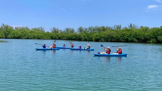 Miami: Paddleboard- oder Kajakverleih in Virginia Key