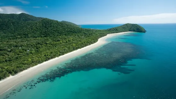 Cairns: Cape Tribulation, Daintree, Mossman and Port Douglas