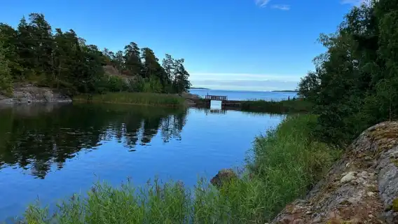 Helsinki: Uutela Guided Nature Hike with Snack