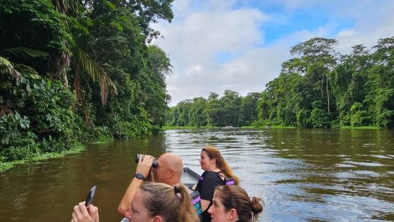 Tortuguero: pacchetto tour in canoa e passeggiata notturna nella giungla.