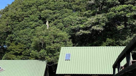 Arusha: Perjalanan Sehari Gunung Kilimanjaro dengan Makan Tengahari