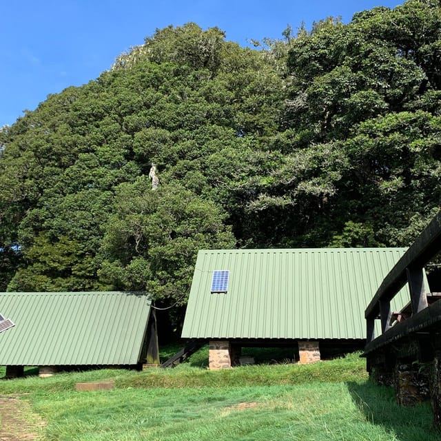 Arusha: Mount Kilimanjaro Day Trip with Lunch