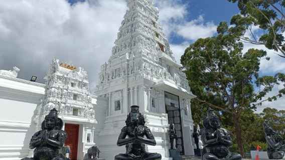 Sydney: Sea Cliff Bridge, Kiama Blowhole and Farmlands Tour