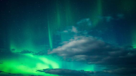 Ab Reykjavik: Nordlichter-Tour