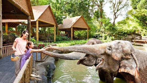 Vườn thú Singapore: Vé vào cửa kèm đi xe điện