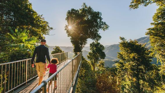 Parc national Wooroonooran : entrée au Mamu Tropical Skywalk