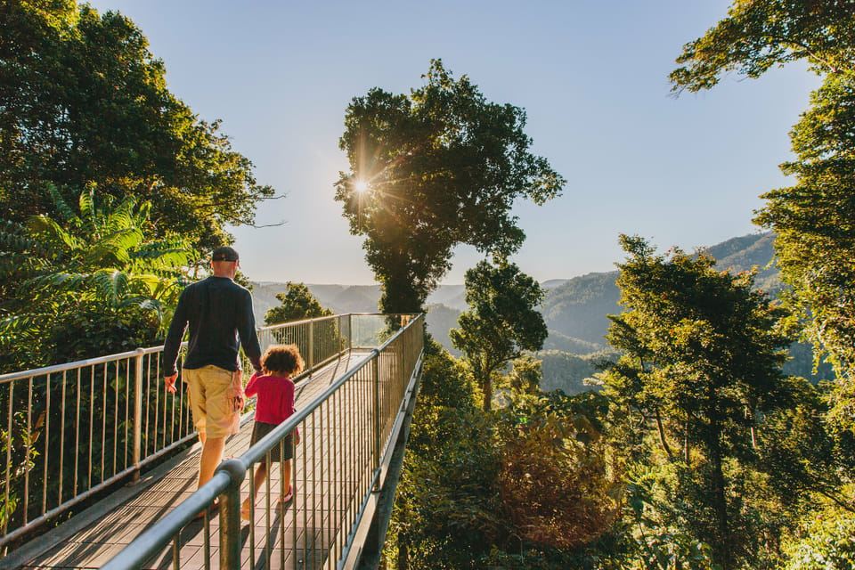 Wooroonooran National Park: Mamu Tropical Skywalk Admission