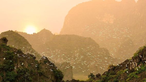 Tur Jeep Ninh Binh: Sorotan dan Permata Tersembunyi di Tam Coc