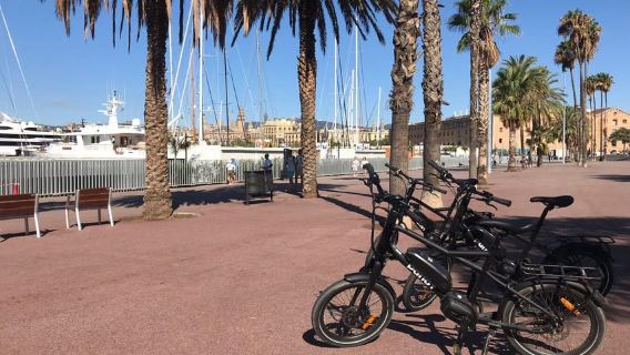 Barcelona: tour tham quan có hướng dẫn bằng xe đạp điện qua các công viên và bãi biển nổi tiếng