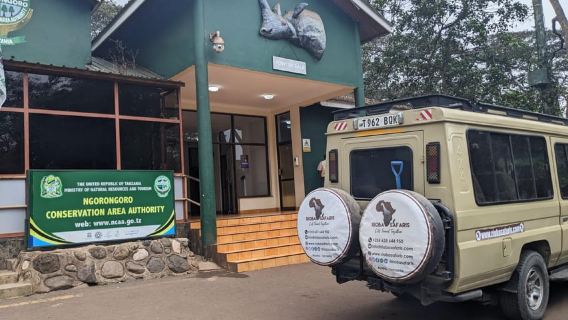 Arusha : excursion d'une journée au cratère du Ngorongoro avec Game Drive