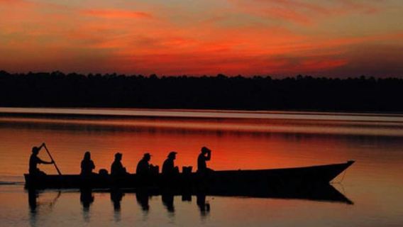 From Madre de Dios ||Night trekking in the Amazon jungle