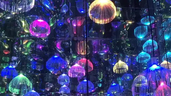 Circus World ERA Acrobatic Show [7:30 PM] + Shanghai Van Gogh Starry Sky Museum Night Tour