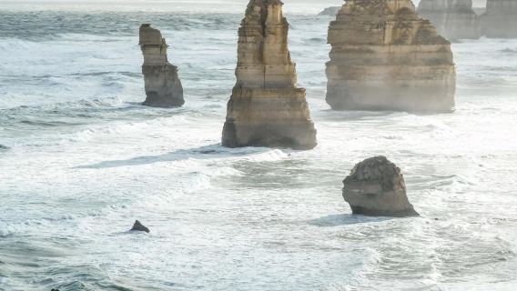 Australia Melbourne: Excursión ecológica de un día por la Great Ocean Road (Doce Apóstoles/Garganta de Loch Ard)