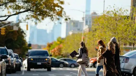 Harlem: Guided Tour in French