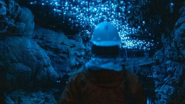 紐西蘭奧克蘭周邊比特村 + 懷託摩螢火蟲洞-包車-精選行程