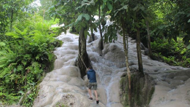 Chiang Mai Elephant Camp + Namtok Bua Tong-Nam Phu Chet Si National Park 1-day tour (Chinese-speaking driver private charter service with on-demand stops)