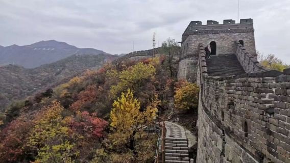 Excursión privada a la Gran Muralla de Mutianyu y la Ciudad Prohibida con conductor angloparlante