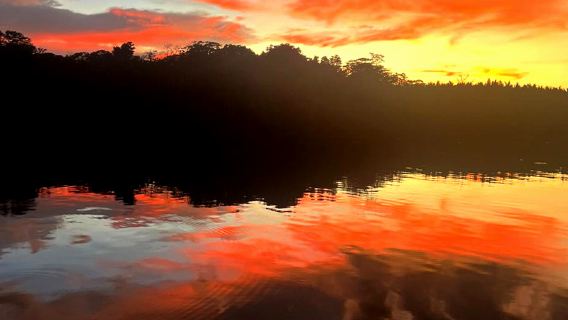 汶萊螢火蟲之旅【含餐】
