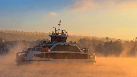 Cookie cruise | Cookie and Culture - short and sweet!