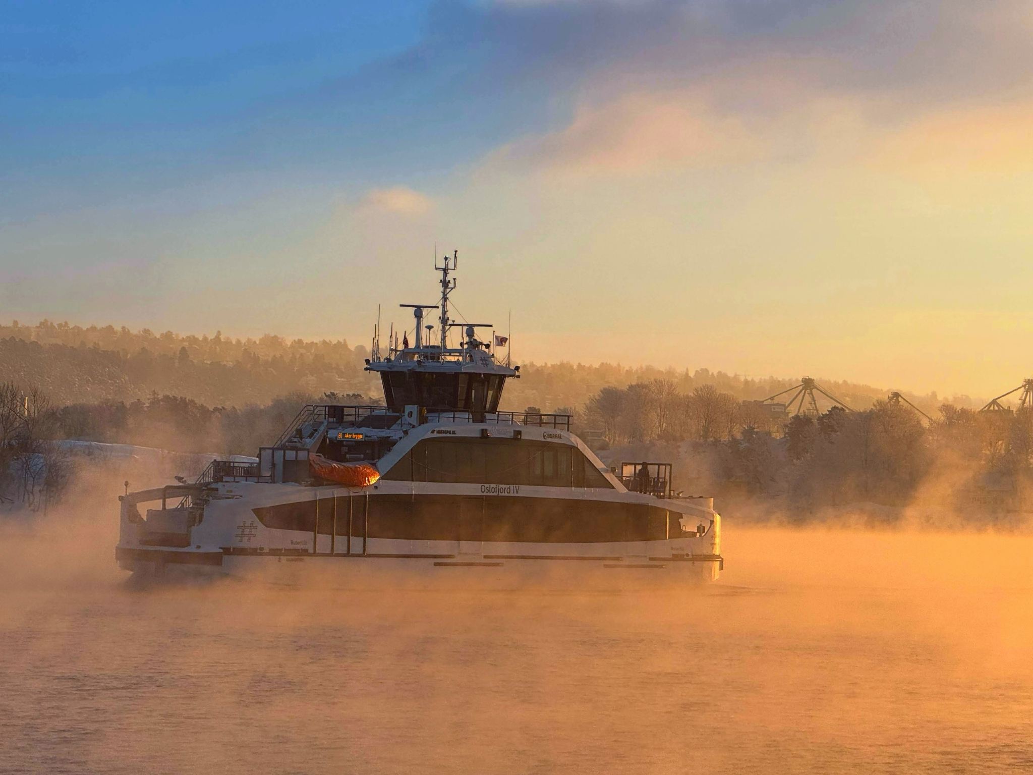 Cookie cruise | Cookie and Culture - short and sweet!