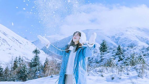 北海道美唄雪地樂園半日遊/一日遊|札幌出發|中英文導遊