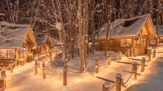 日本北海道拼團 旭川市旭山動物園/白鬚瀑布/美瑛/精靈露台/青池