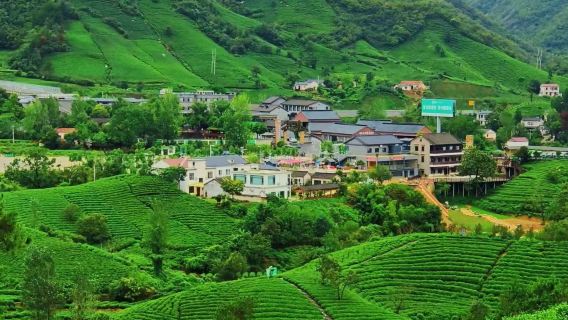 信陽市區來回包車｜南灣湖風景區-文新茶村一日遊（多車型可選）