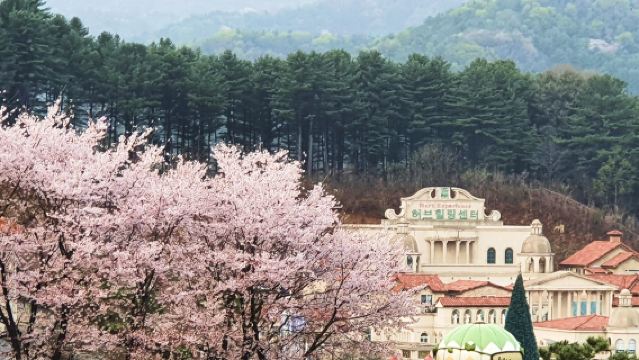 Cueillette de fraises + Lac Shanjing + Cascade de Pigeon Valley + Parc d'attractions de l'île aux Herbes en excursion d'une journée