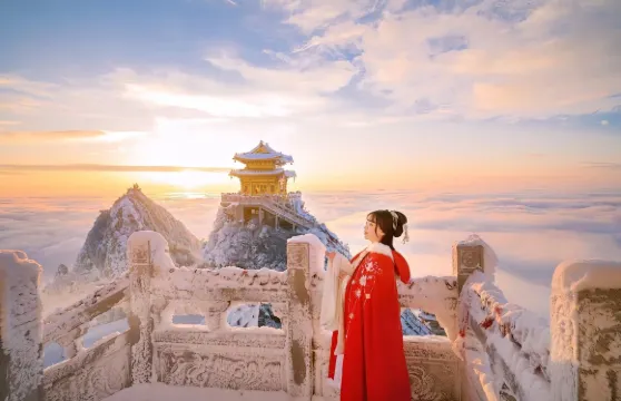 【2-8人精品小團】老君山景區一日遊＋上門接送＋高速直達