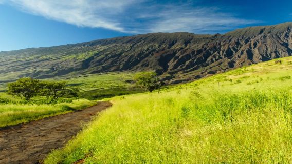 夏威夷：茂宜島1日遊｜海洋中心+哈萊阿卡拉火山｜行程可定制※