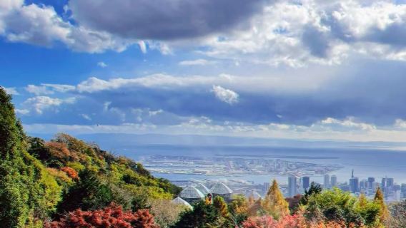 Nagoya, Japan - Bokka no Sato [Chinese-speaking Driver/Door-to-Door Pickup/Adjustable Itinerary]